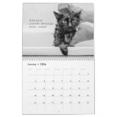 Modern Cute Funny Pet Kitten Cat Fotos Kalender (Jan 2026)