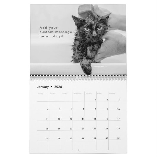 Modern Cute Funny Pet Kitten Cat Fotos Kalender (Jan 2026)