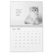 Modern Cute Funny Pet Kitten Cat Fotos Kalender (Mär 2026)