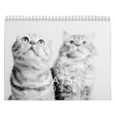 Modern Cute Funny Pet Kitten Cat Fotos Kalender (Titelbild)