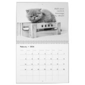Modern Cute Funny Pet Kitten Cat Fotos Kalender (Feb 2026)