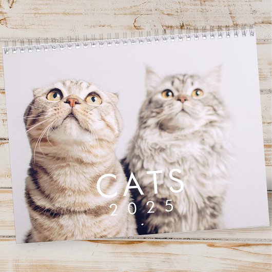 Modern Cute Funny Pet Kitten Cat Fotos Kalender