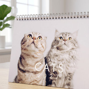 Modern Cute Funny Pet Kitten Cat Fotos Kalender