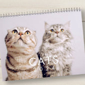 Modern Cute Funny Pet Kitten Cat Fotos Kalender