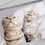 Modern Cute Funny Pet Kitten Cat Fotos Kalender
