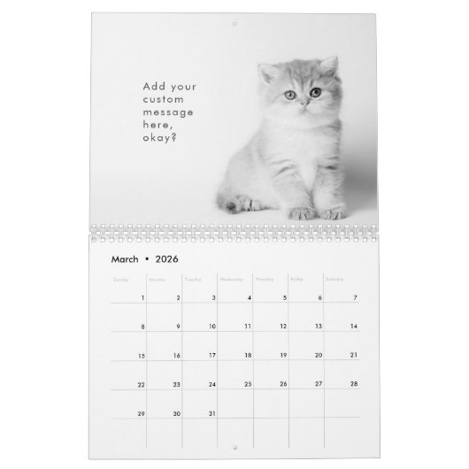 Modern Cute Funny Pet Kitten Cat Fotos Kalender (Mär 2026)