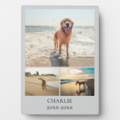 Modern Dog Gray Personalized Pet Collage Photo Fotoplatte (Vorderseite)