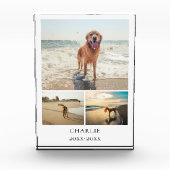 Modern Dog Keepsake Cute Personalized Pet Collage Fotoblock (Vorderseite)