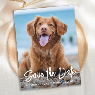 Modern Dog Wedding Custom Pet Photo Save The Date  Ankündigungspostkarte