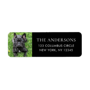 Modern Family Dog Photo Return Address Label