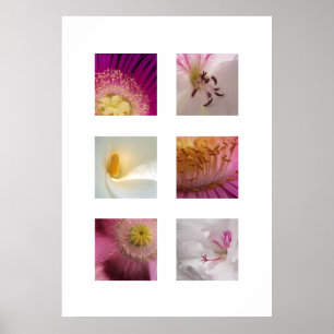 Modern Flower Print Poster