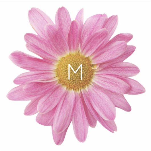 Modern Fresh Pink Daisy Tees Aufkleber (Vorderseite)