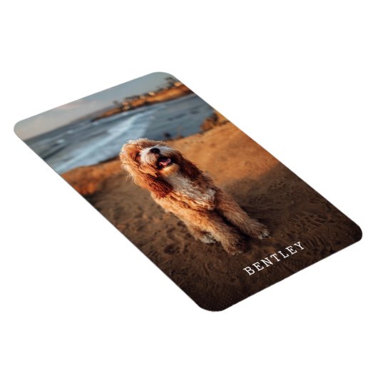 Modern Full Foto Dog PET White Magnet (Rechte Seite)