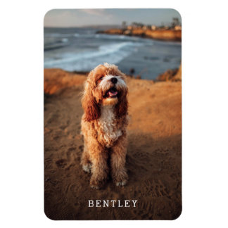 Modern Full Foto Dog PET White Magnet