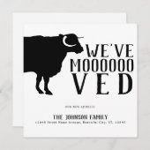 Modern Funny Wir haben Black Cow neue Zuhause Movi Ankündigung (Vorne/Hinten)
