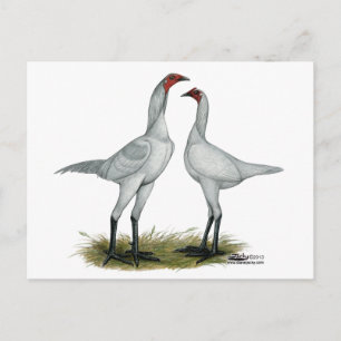 Modern Games Self Blue Postkarte