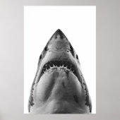 Modern Great White Shark Portrait Poster (Vorne)