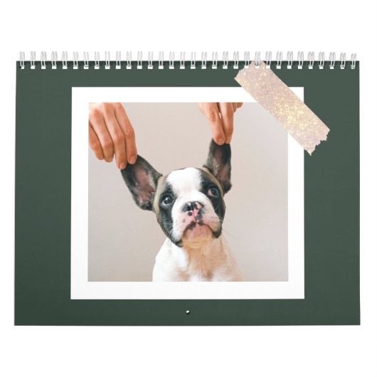 Modern Green Scrapbook Pet Photo Kalender (Titelbild)