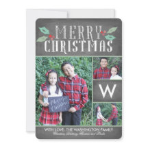 Modern Hollies Collection