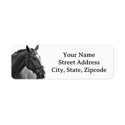 Modern Horse Black and White Equestrian (Vorne)