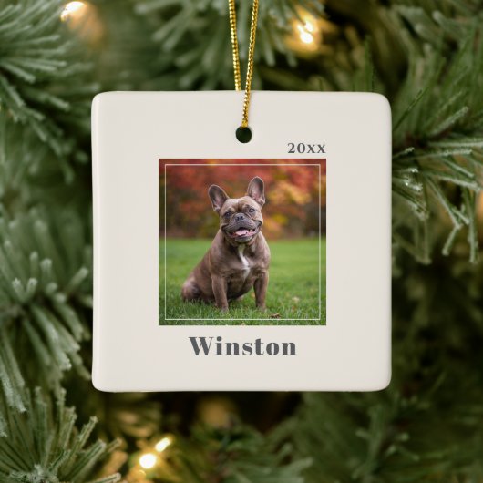 Modern Ivory Custom Pet Name Photo Keramikornament (Baum)