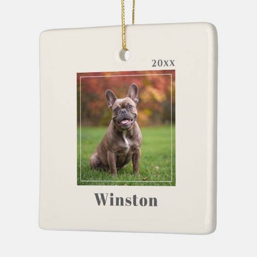 Modern Ivory Custom Pet Name Photo Keramikornament (Links)