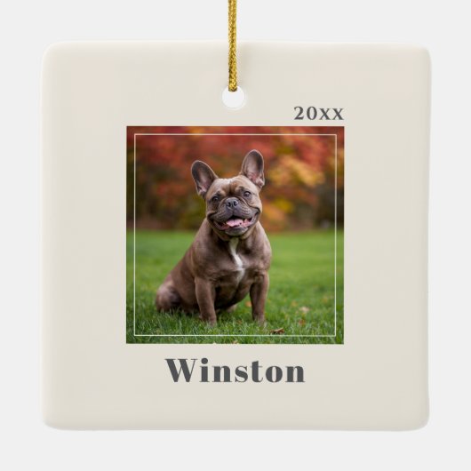 Modern Ivory Custom Pet Name Photo Keramikornament (Rückseite)