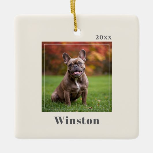 Modern Ivory Custom Pet Name Photo Keramikornament (Vorderseite)