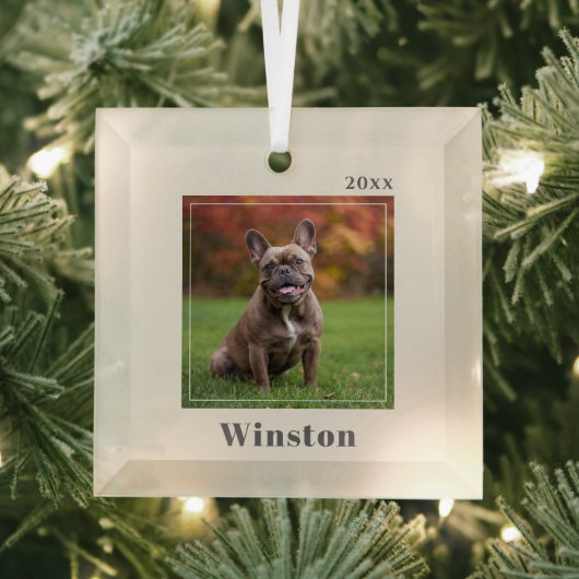Modern Ivory Custom Pet Name Photo Ornament Aus Glas (Insitu)