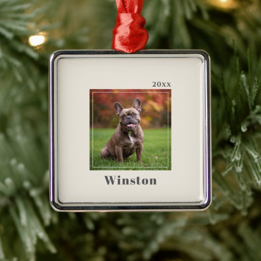 Modern Ivory Custom Pet Name Photo Ornament Aus Metall (Baum)