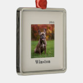 Modern Ivory Custom Pet Name Photo Ornament Aus Metall (Rechts)