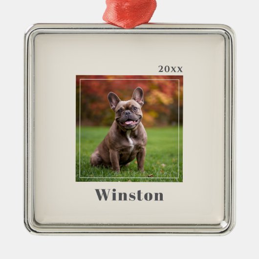 Modern Ivory Custom Pet Name Photo Ornament Aus Metall (Vorne)