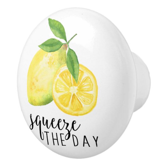 MODERN KITCHEN LEMON PUN KERAMIKKNAUF (Rechts)