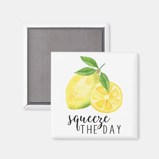 MODERN KITCHEN LEMON PUN MAGNET (Vorderseite/Rückseite)