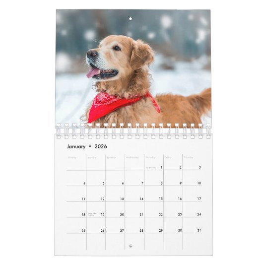 Modern kreieren Sie Ihr eigenes Foto für eine benu Kalender (Jan 2026)