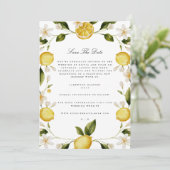 Modern Mediterrane Zitronenmelone Save the Date Ca Ankündigung (Stehend Vorderseite)