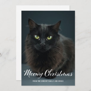 Modern Meowy Weihnachts Weihnachtskat Weihnachtsfo
