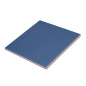 Modern Minimalist Blau Fliese (Seite)
