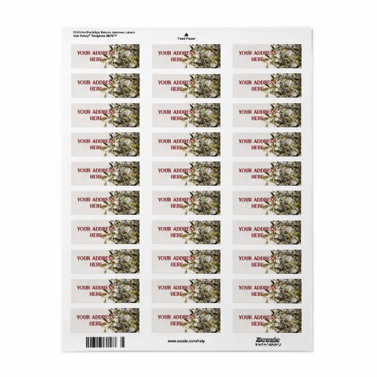 Modern Mistletoe Christmas (Vorne)