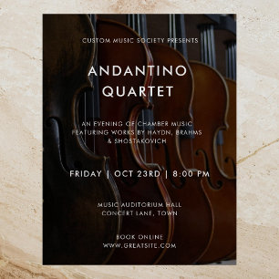 Modern Music Concert Foto Template Poster