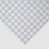 Modern Pastel Gingham Seidenpapier (Ausschnitt)