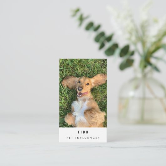 Modern Pet Dog Influencer Photo QR Code Visitenkarte (Stehend Vorderseite)