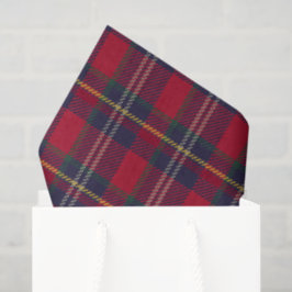Modern Plaid Christmas Gift  Seidenpapier