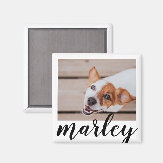 Modern Playful Simple Chic Pet Photo Magnet (Vorderseite/Rückseite)