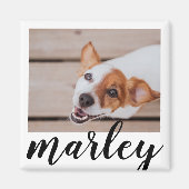 Modern Playful Simple Chic Pet Photo Magnet (Vorne)