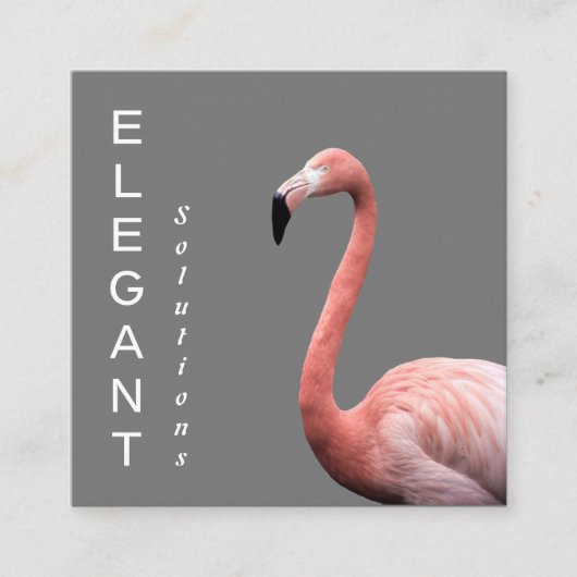 Modern rosa Flamingo Minimalistisch Square Busines Quadratische Visitenkarte (Vorderseite)