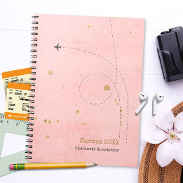 Modern rosa Gold Airplane Name Tagebuch