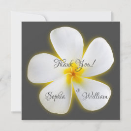 Modern Square White Plumeria Blume, vielen Dank