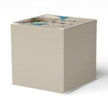 Modern Taupe Aqua Peacock Feather Gastgeschenk Hoc