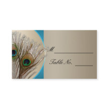 Modern Taupe Aqua Peacock Feather Weddin Platzkart